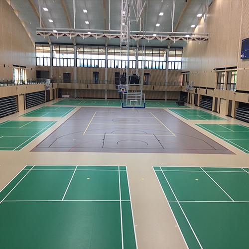 Professional Multi-Sport Court Setup